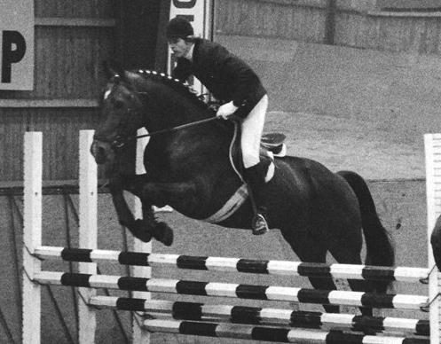 På dette billede fra 1977 - Oldenborger / xx hingsten August (B-hest i springning) Rytter Klaus Fogh